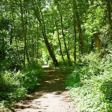 Ada's Koje Comfortable Holiday home Wustrow (Fischland)