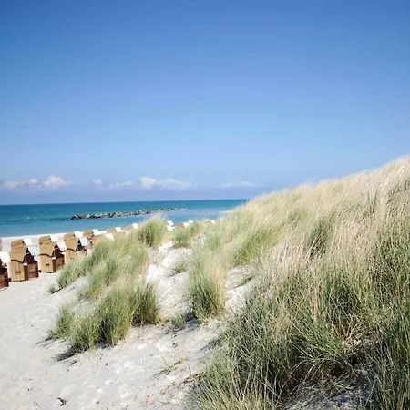 Ada's Koje Comfortable