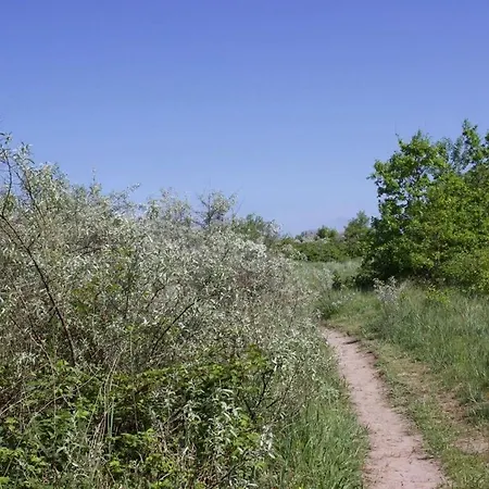 Ada's Koje Comfortable